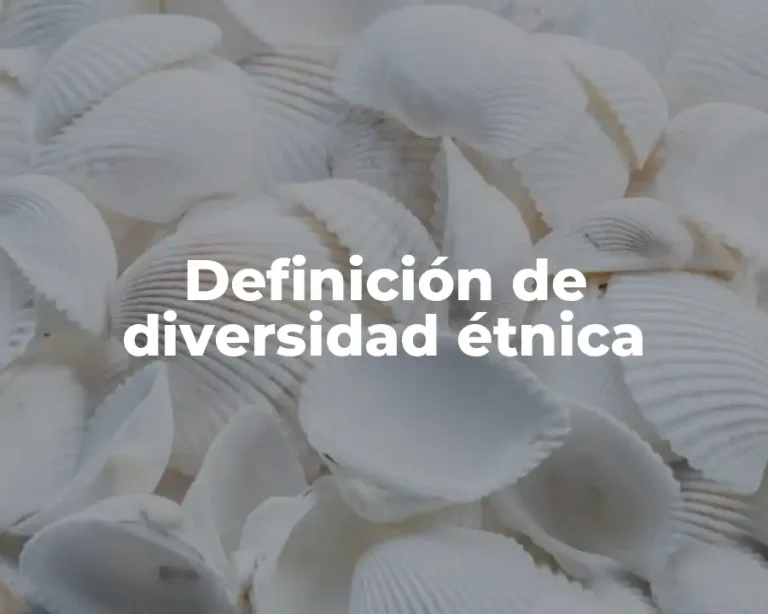 Definición de diversidad étnica