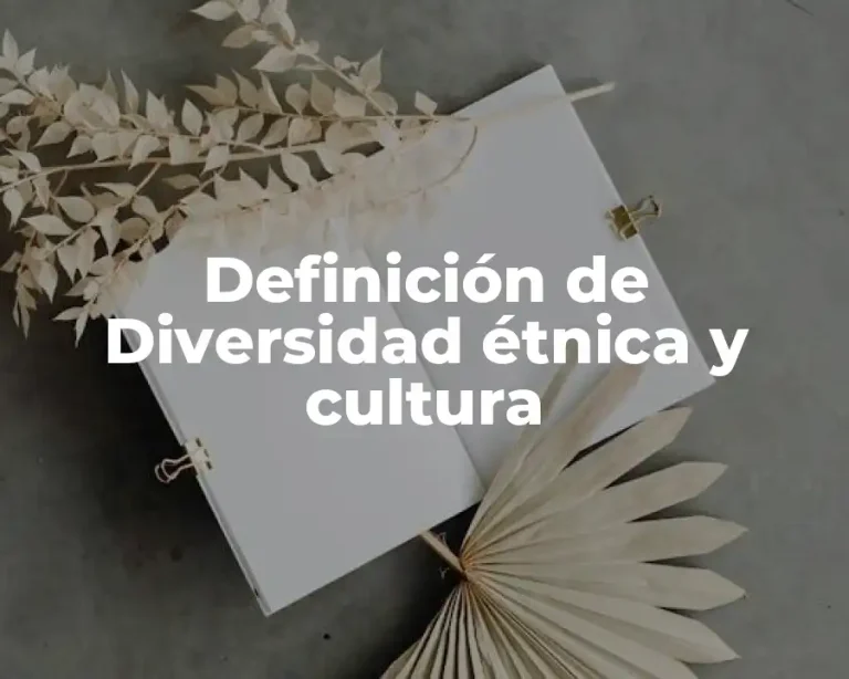 Definición de Diversidad étnica y cultura