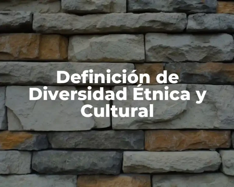 Definición de Diversidad Étnica y Cultural