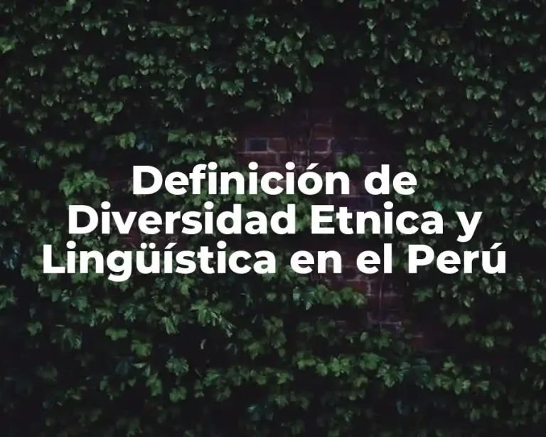 Definición de Diversidad Etnica y Lingüística en el Perú
