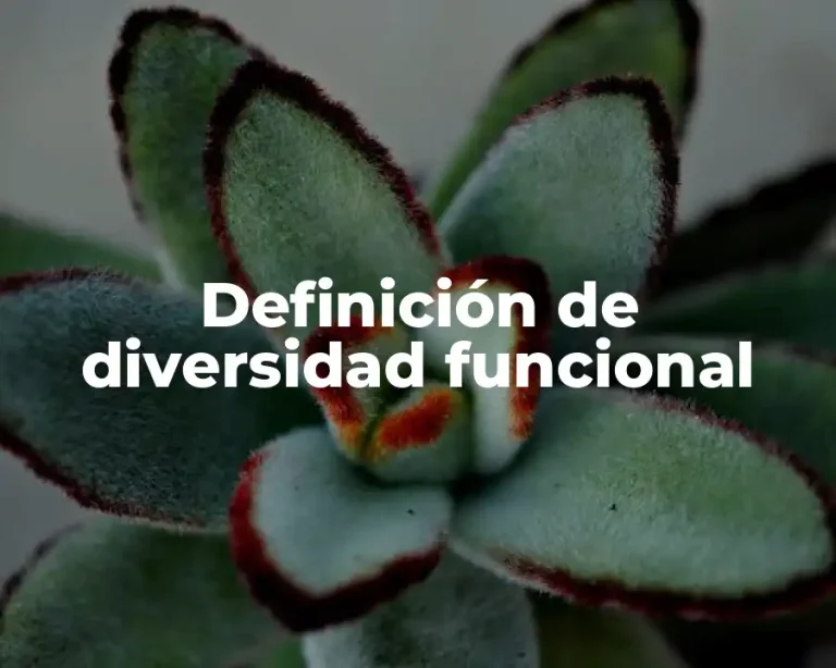 Definición de diversidad funcional