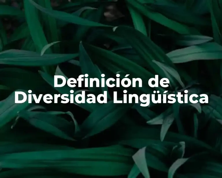 Definición de Diversidad Lingüística