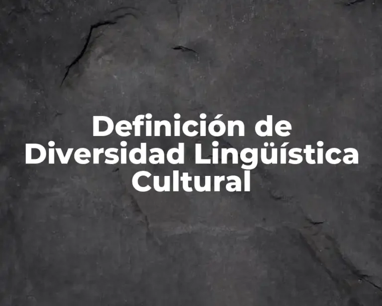 Definición de Diversidad Lingüística Cultural