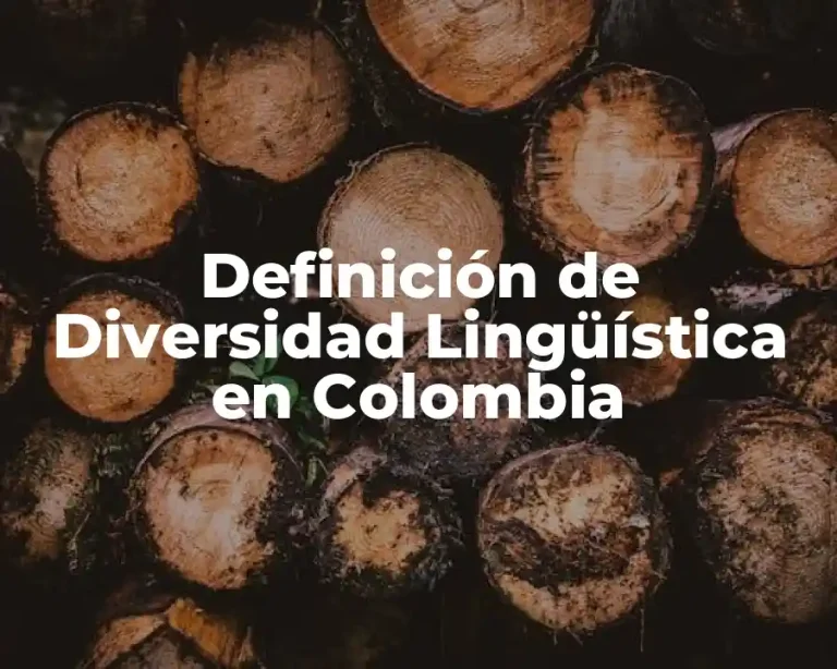 Definición de Diversidad Lingüística en Colombia