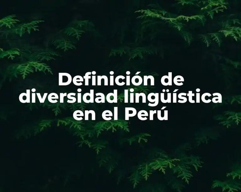 Definición de diversidad lingüística en el Perú