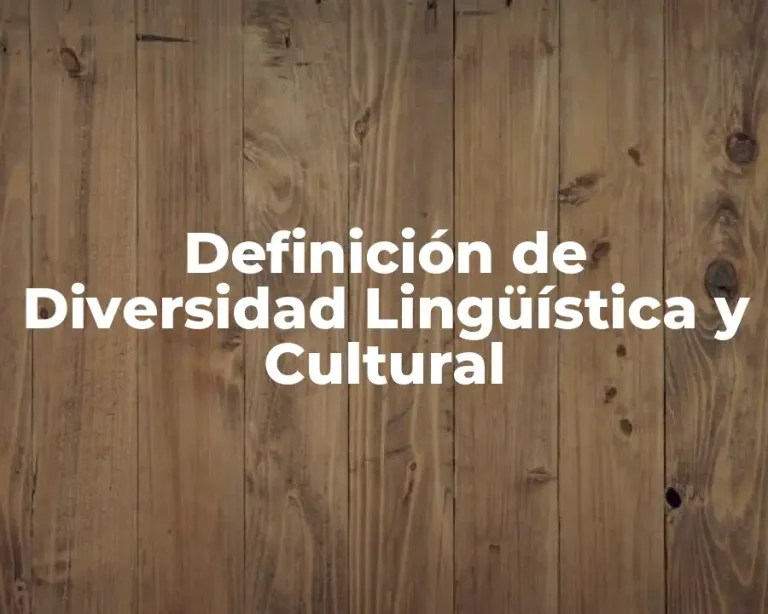 Definición de Diversidad Lingüística y Cultural