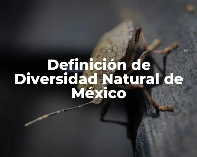 Definición de Diversidad Natural de México