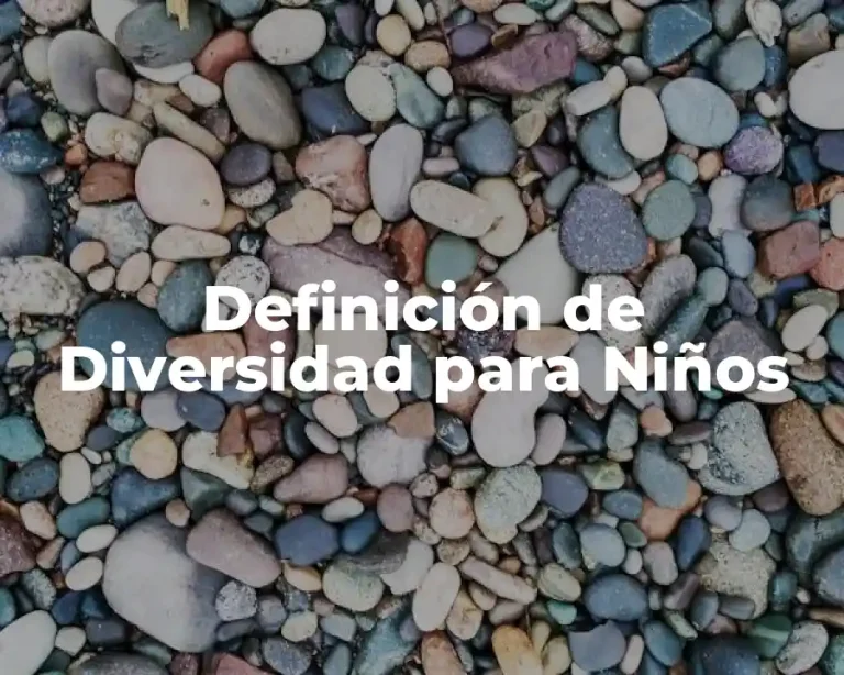 Definición de Diversidad para Niños