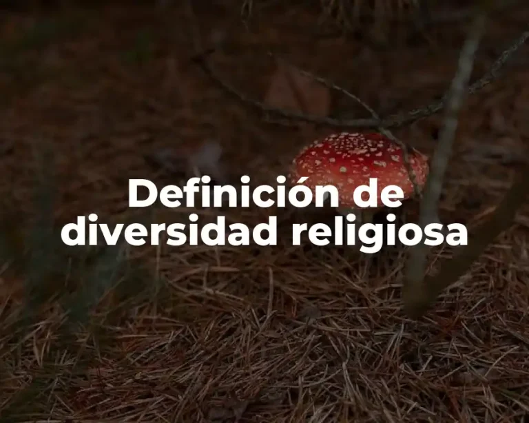 Definición de diversidad religiosa