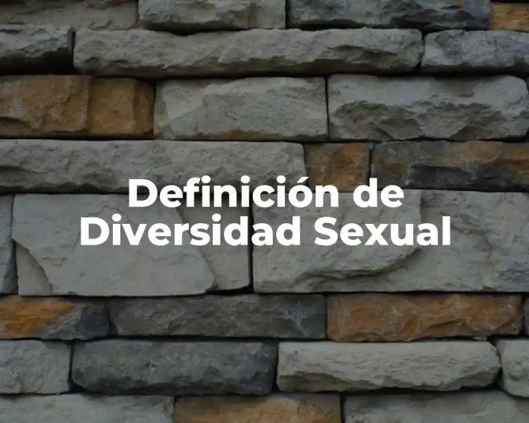 Definición de Diversidad Sexual