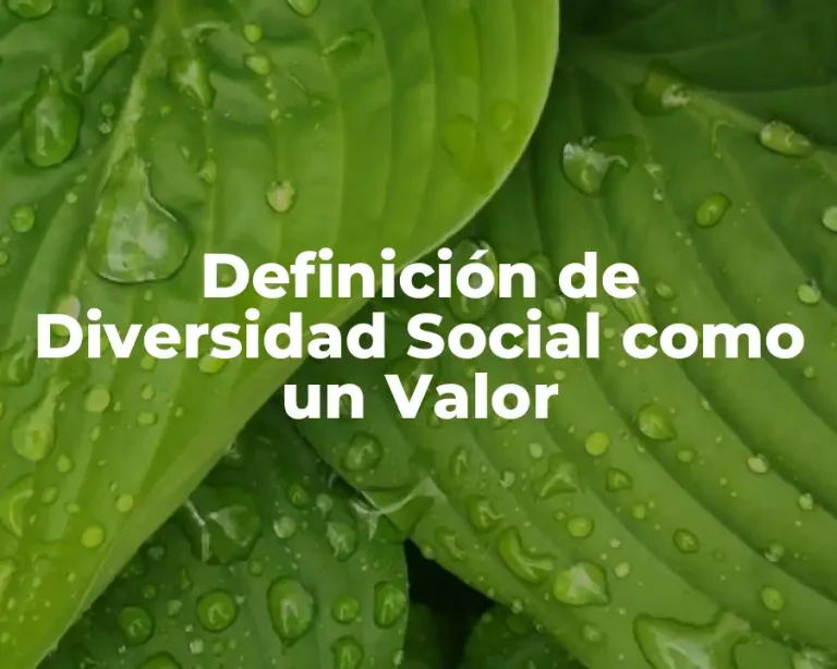 Definición de Diversidad Social como un Valor