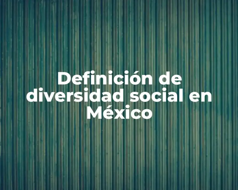 Definición de diversidad social en México