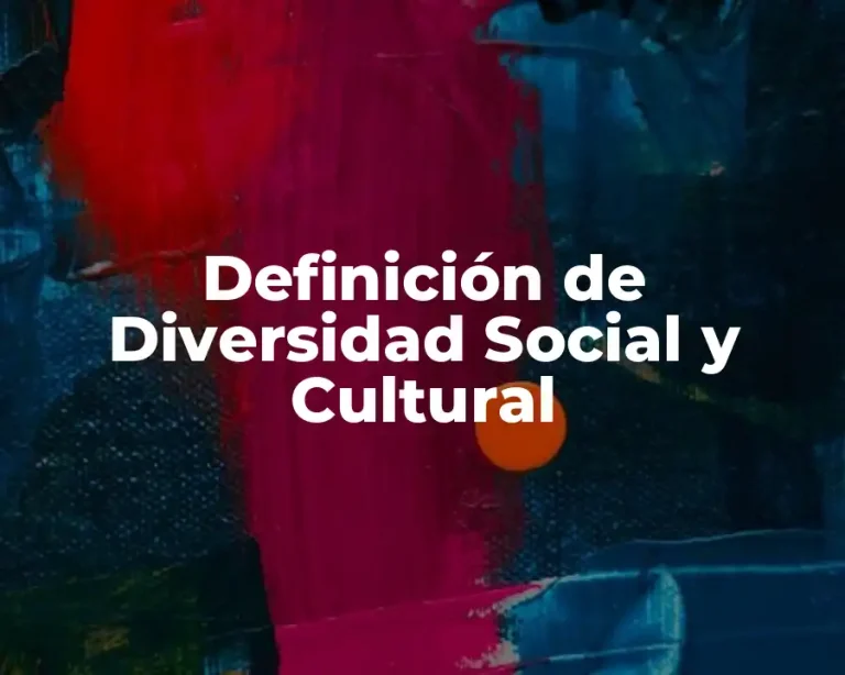 Definición de Diversidad Social y Cultural