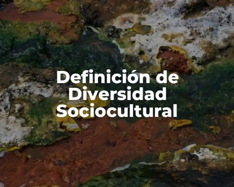 Definición de Diversidad Sociocultural
