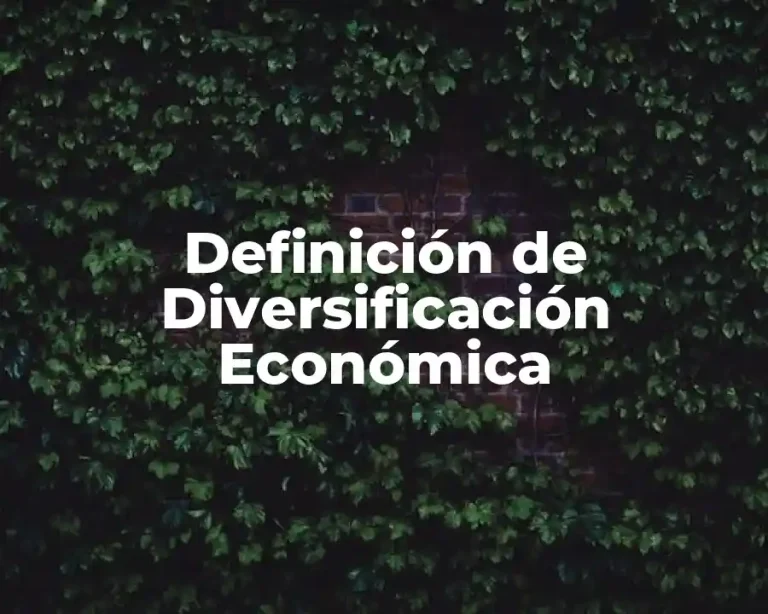 Definición de Diversificación Económica