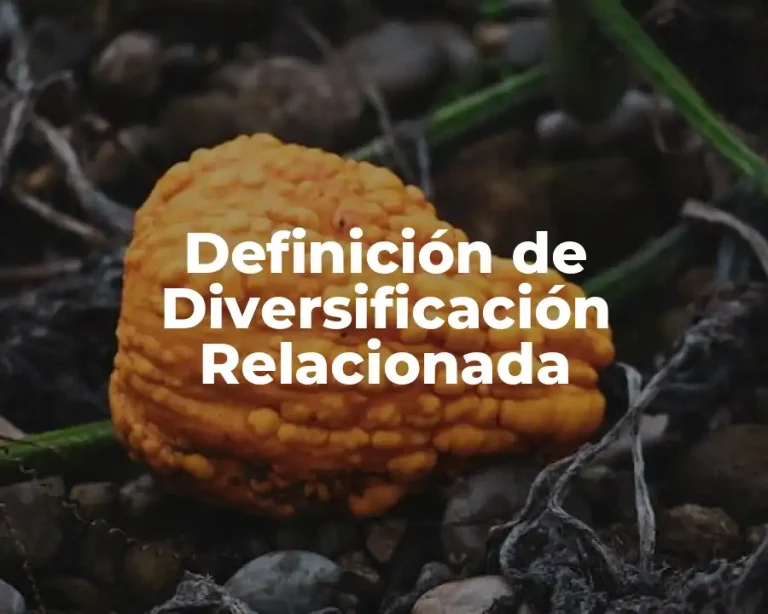 Definición de Diversificación Relacionada