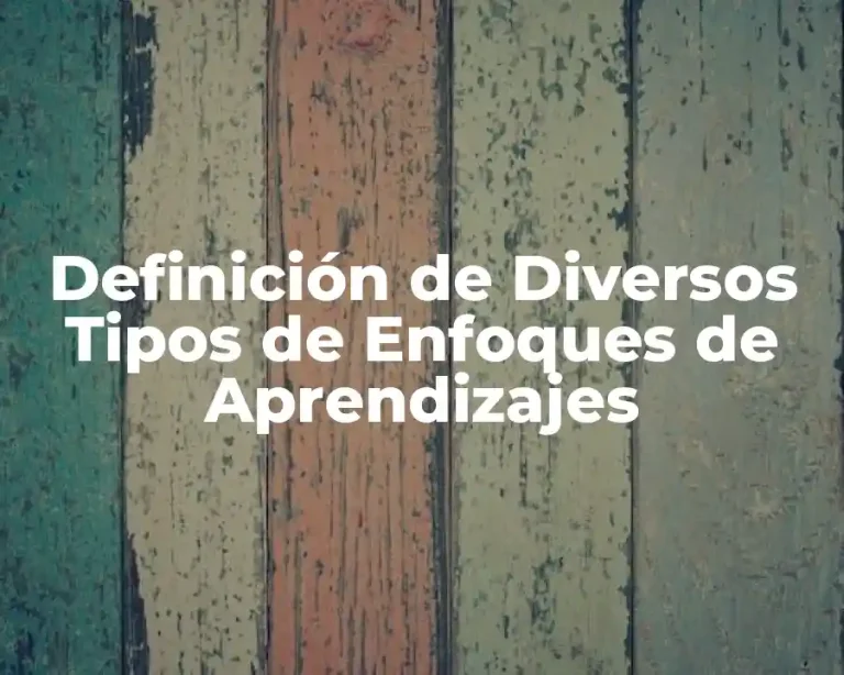 Definición de Diversos Tipos de Enfoques de Aprendizajes
