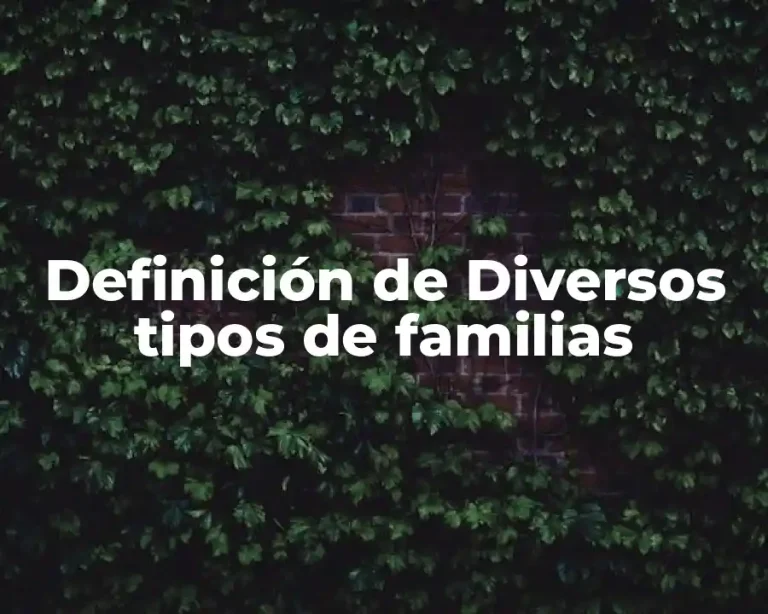 Definición de Diversos tipos de familias