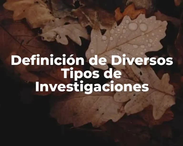 Definición de Diversos Tipos de Investigaciones