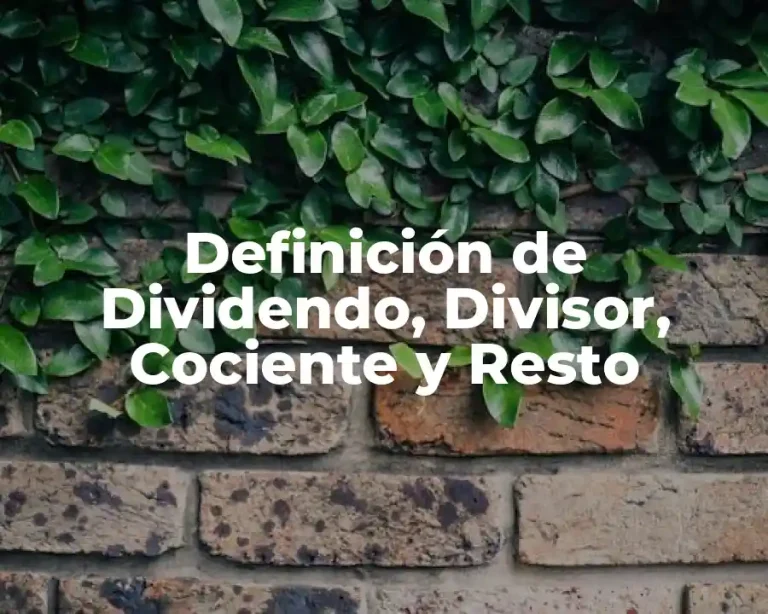 Definición de Dividendo, Divisor, Cociente y Resto