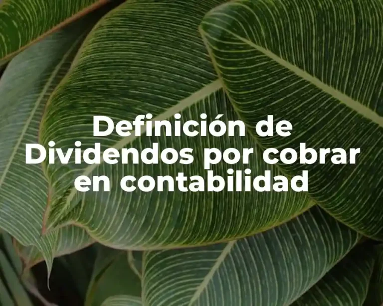 Definición de Dividendos por cobrar en contabilidad