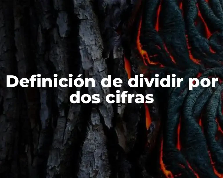 Definición de dividir por dos cifras