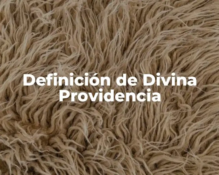 Definición de Divina Providencia