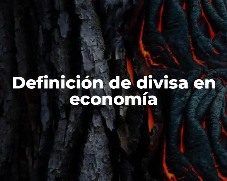 Definición de divisa en economía