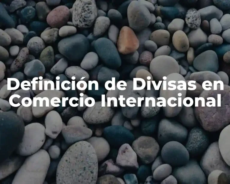 Definición de Divisas en Comercio Internacional