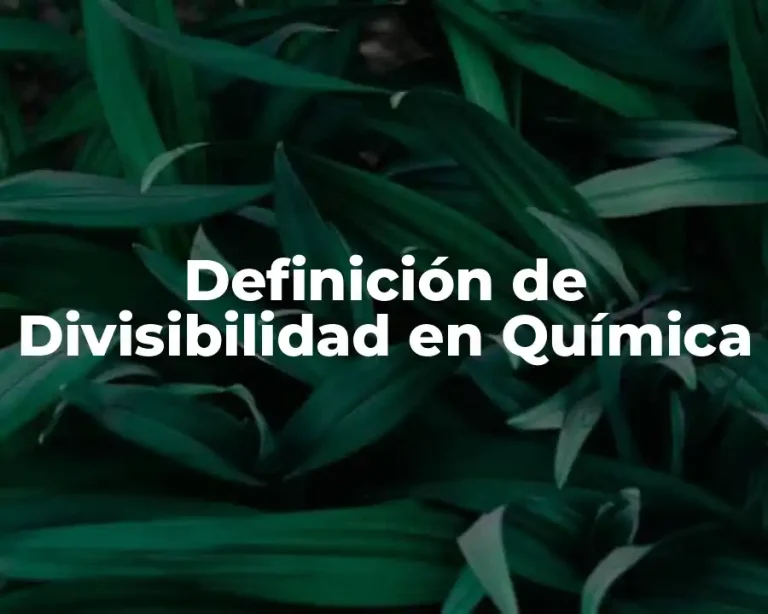 Definición de Divisibilidad en Química