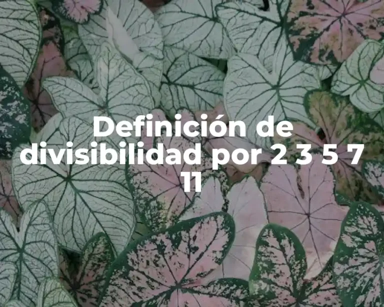Definición de divisibilidad por 2 3 5 7 11