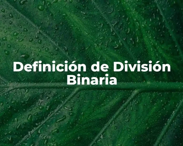 Definición de División Binaria