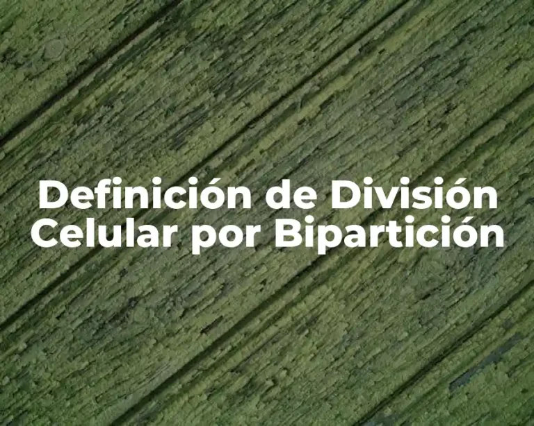 Definición de División Celular por Bipartición