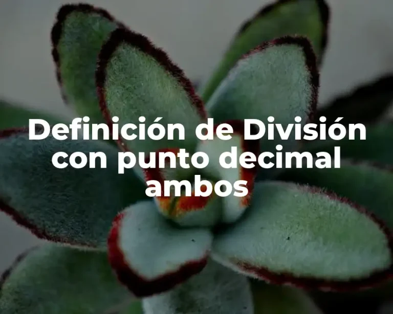Definición de División con punto decimal ambos