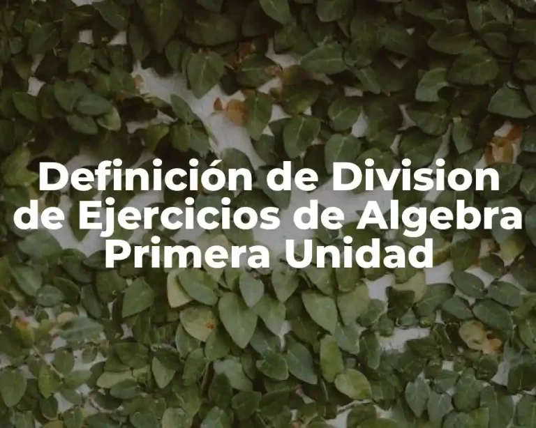 Definición de Division de Ejercicios de Algebra Primera Unidad