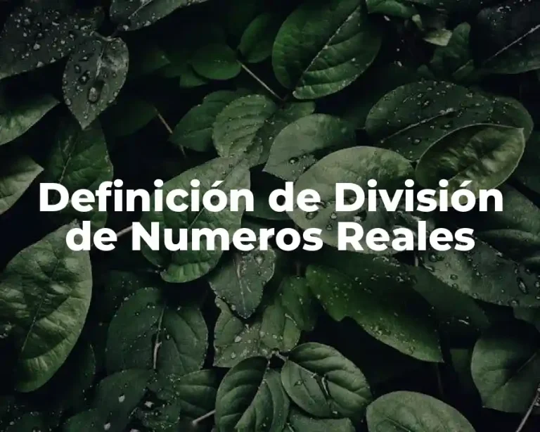 Definición de División de Numeros Reales