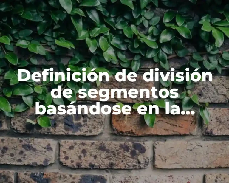 Definición de división de segmentos basándose en la geometría analítica