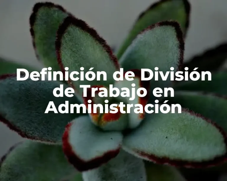 Definición de División de Trabajo en Administración