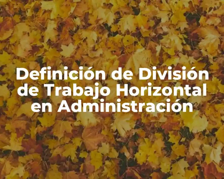 Definición de División de Trabajo Horizontal en Administración