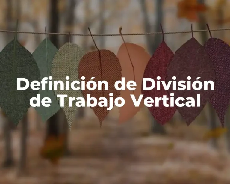 Definición de División de Trabajo Vertical