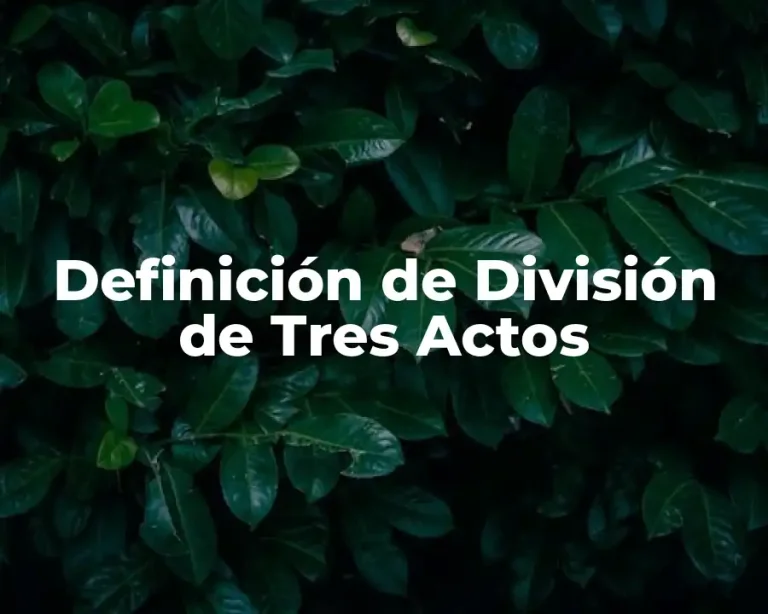 Definición de División de Tres Actos