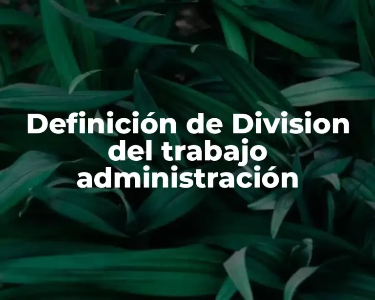 Definición de Division del trabajo administración