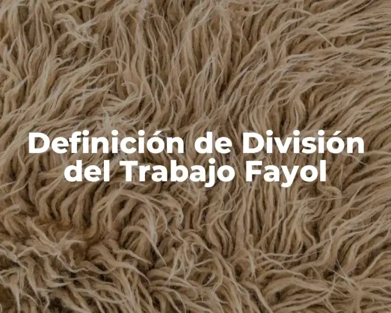 Definición de División del Trabajo Fayol