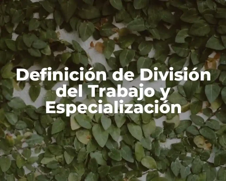 Definición de División del Trabajo y Especialización