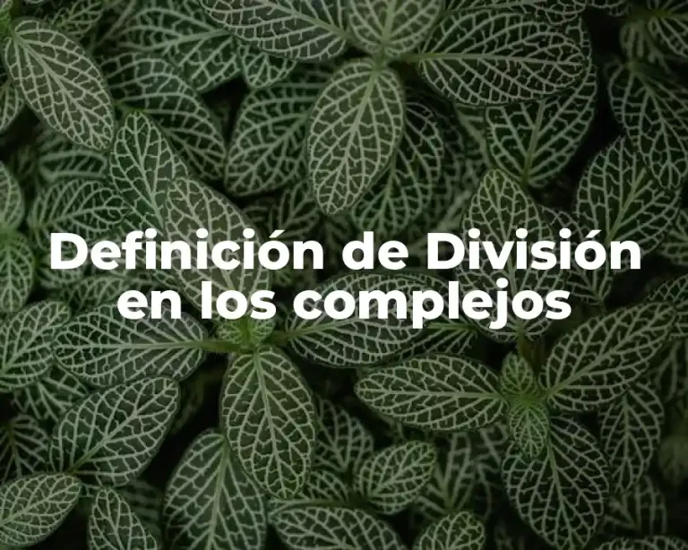 Definición de División en los complejos