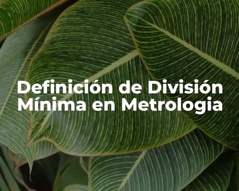 Definición de División Mínima en Metrologia
