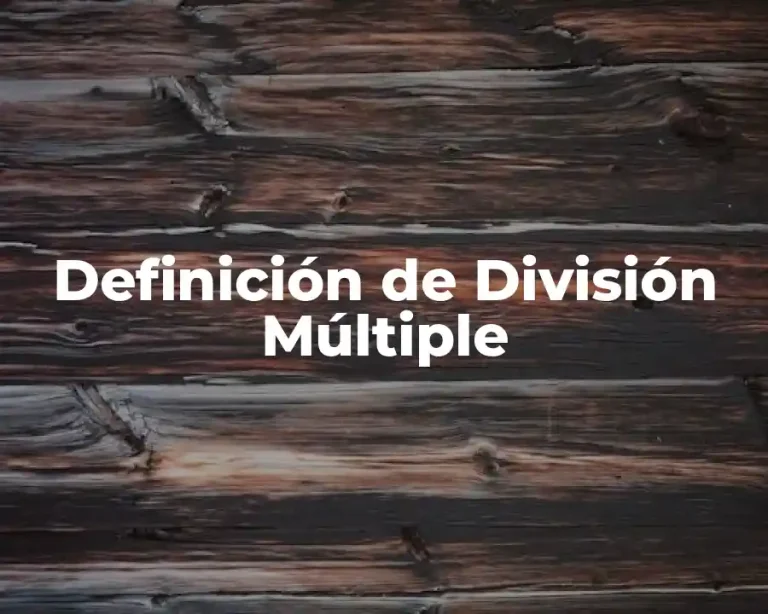 Definición de División Múltiple