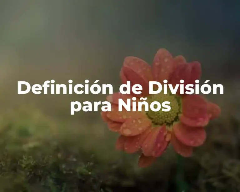 Definición de División para Niños