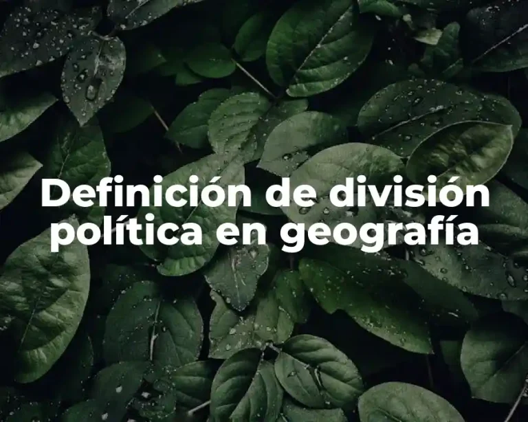 Definición de división política en geografía