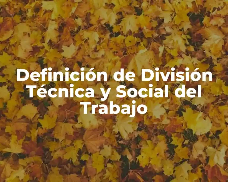 Definición de División Técnica y Social del Trabajo